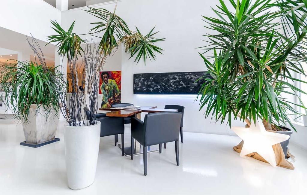Designhotel Youngstar MHG Kültér fotó